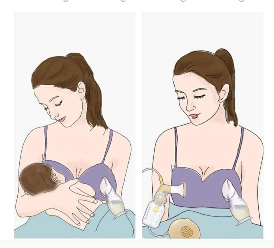 Recolector de leche materna