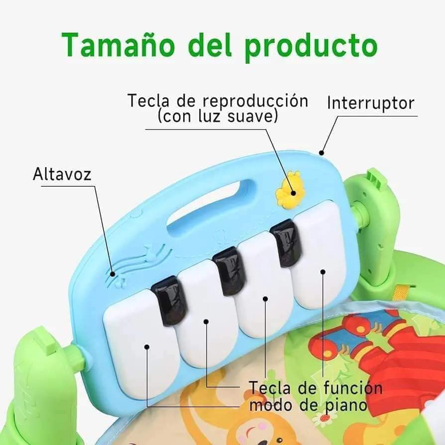 Gimnasio Músical Pataditas Bebé